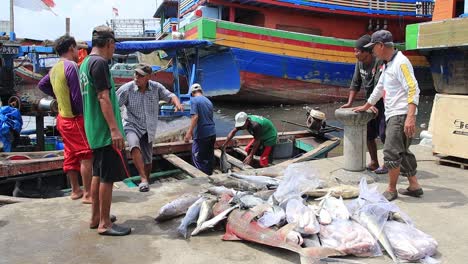 Fishermen-unload-their-catch-of-fresh-fish-onto-fishing-cart-from-storage-on-the-traditional-boat,-Pekalongan,-Indonesia,-March-29,-2021