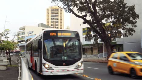 View-of-the-road-in-the-city,-passing-cars-and-city-bus,-no-people-during-quarantine-,-Via-España-,-Panama-City