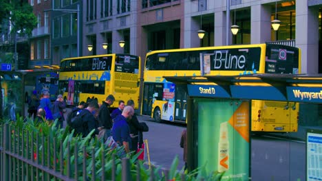 Commuters-Waiting-At-Stand-D-Wynyard-Station-To-B-Line-Bus-In-Sydney,-NSW,-Australia