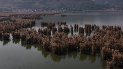 Círculo-Aéreo-Dolly-Sobre-Humedales-En-El-Lago-Kallar-Kahar