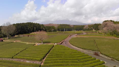 Trabajadores-En-Campos-De-Té-Verde-En-Japón---Toma-Aérea-De-Drones