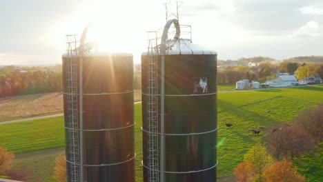 Blaue-Erntesilos-Mit-Kuhkunstwerk-Und-Auf-Dem-Feld-Grasendes-Vieh