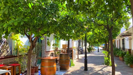 Closed-bar-with-orange-trees-in-a-typical-little-narrow-Spanish-street-with-houses-in-Marbella-old-town-Spain,-sunny-day-and-blue-sky,-4K-panning-left