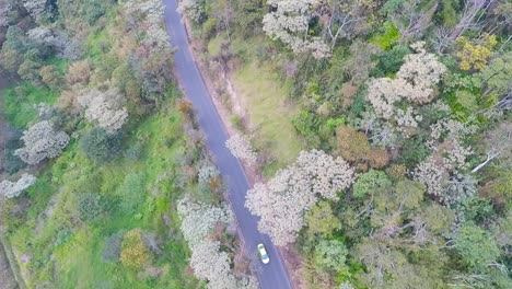 Vista-Aerea-Con-Drone-Del-Pequeño-Puente-Y-Rio-A-Cordoba,-Veracruz