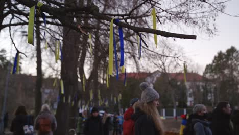 Farbbänder-Der-Ukrainischen-Flagge-Auf-Ästen