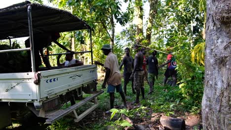 Menschen,-Die-Mit-Schokoladen-Kakao-Setzlingen-Arbeiten,-Werden-Vom-Lieferwagen-Zur-Farm-Auf-Der-Insel-Bougainville,-Papua-Neuguinea,-Entladen