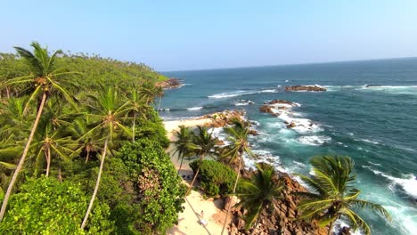 Hay-Una-Vista-Junto-Al-Mar-Donde-Se-Pueden-Ver-Muchos-Abetos-Y-Cocoteros