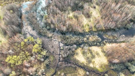 Eine-Verlassene-Wiese-Im-Stadtzentrum-Ist-Am-Ufer-Des-Flusses-Dane-Zu-Einem-Sumpf-Geworden