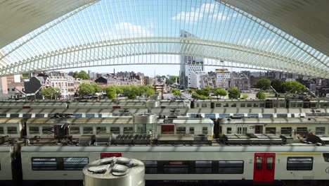 Estación-De-Tren-Liège-guillemins-Diseñada-Por-El-Arquitecto-Santiago-Calatrava-En-Bélgica---Lapso-De-Tiempo,-Acercamiento