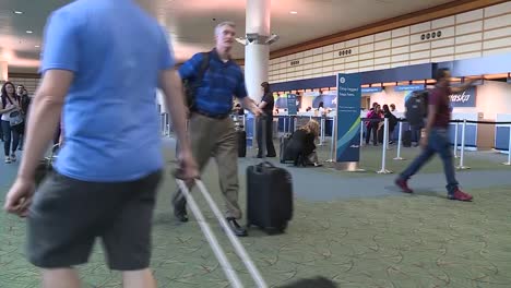 PDX-PORTLAND-INTERNATIONAL-AIRPORT-TERMINAL-TICKET-COUNTER