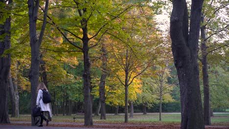 Autumn-In-Prater-Park-With-Lovely-Trees-And-People-Walking,-Cycling-And-Jogging-On-Street---Wide-Steady-Shot