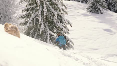 Dog-running-after-skiing-man-in-snow-landscape