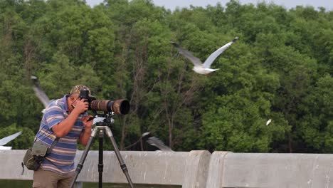 Hombre-Tomando-Fotografías-De-Gaviotas-En-El-Centro-Recreativo-De-Bang-Pu,-Tailandia