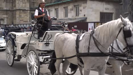 Alejar-El-Zoom-En-Cámara-Lenta-De-Los-Caballos-Fiaker-Con-Un-Taxi-Detrás