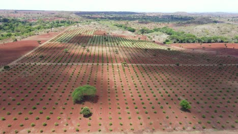 Drohne-Mavic-Air-2-Fliegt-über-Den-Hügel-In-Der-Afrikanischen-Savannenwüstenzone