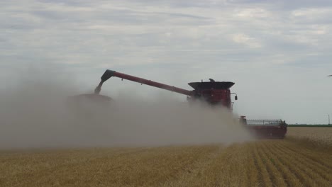 Back-view-of-a-combine-loading-the-grain-onto-a-wagon-while-harvesting-a-wheat-field