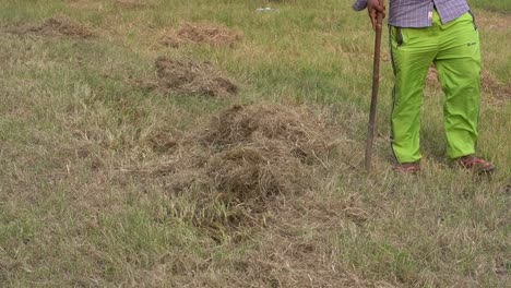 Un-Hombre-Limpiando-La-Hierba-Muerta-En-El-Campo-O-En-El-Prado-Con-Una-Cortadora-De-Cepillos-Fuerte