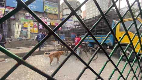 Trabajadores-Transfiriendo-La-Carga-De-Pollos-Vivos-Del-Camión,-En-Las-Calles-De-Dhaka