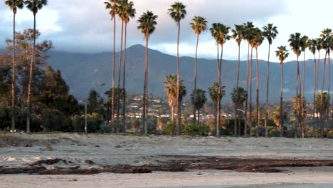 Palm-trees-at-the-East-beach-with-people-sitting-on-the-sand,-Dolly-left-shot