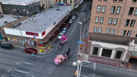 Tourist-ride-in-Cinderella-horse-and-carriage