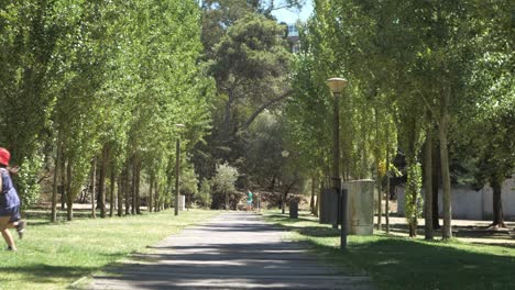 Junges-Mädchen-überquert-Den-Holzweg-Und-Hält-Einen-Ball-In-Den-Händen-In-Einem-öffentlichen-Park