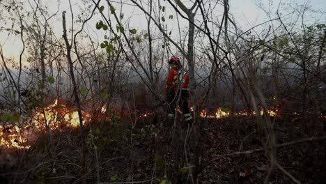 Bombero-Femenino-Usando-Un-Ventilador-Para-Hacer-Retroceder-Un-Incendio-Forestal-En-La-Sabana-Brasileña