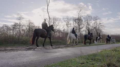 Group-of-people-horseback-riding-slowly-on-a-dirt-trail