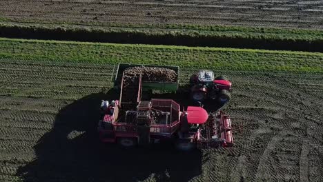 A-potato-harvester-transfers-its-potatoes-into-a-box-truck