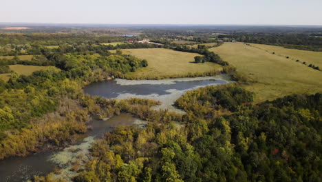 Remote-Pond-Surrounded-By-Fields-And-Trees-In-Rural-Missouri,-U