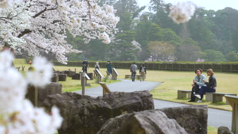 Aufnahme-Von-Zwei-Jungen-Asiaten,-Die-Während-Der-Sakura-Saison-Auf-Einer-Bank-Plaudern-Und-Essen,-Mit-Einem-Wunderschönen-Blick-Auf-Die-Sakura-Blüten-Auf-Einem-Offenen-Feld,-Im-Hintergrund-Fotografieren-Menschen-Die-Sakura