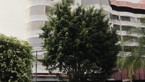 Buildings-In-Panama-City-During-The-Day-With-Good-Tropical-Weather,-Shot-From-Street-Level-At-Real-Time-With-Slight-Camera-Movement