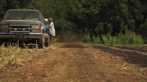 Static-view-of-farmers-are-cucumber-harvesting,tilling-and-composting-on-the-field-on-a-sunny-morning