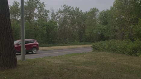 Summertime-traffic-on-a-road-in-Edmonton's-river-valley