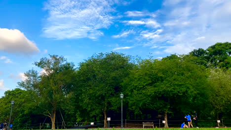 Menschenmassen-Genießen-Einen-Picknicktag-Im-Botanischen-Garten-In-Singapur