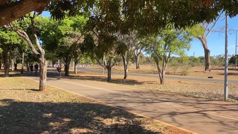 Toma-Estable-Que-Muestra-Un-Camino-Peatonal-Al-Lado-De-Un-Camino-Para-Bicicletas-En-La-Naturaleza-Verde-Del-Parque-De-La-Ciudad-De-Brasilia-En-Un-Día-De-Verano