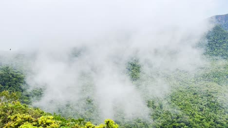 A-shot-spectacular-of-fog-rising-above-the-hills-in-Langkawi