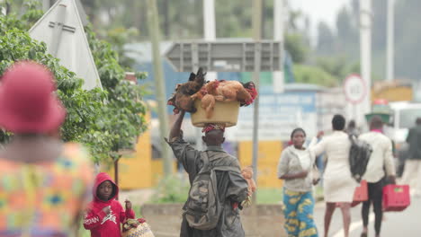 slow-motion-shot-of-man-walking-with-chickens-in-a-bucket-balanced-on-his-head