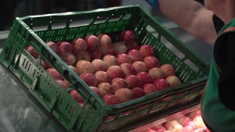 Red-Apples-placed-in-a-crate