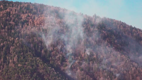 In-Der-Nacht-Zuvor-War-Ein-Waldbrand-Ausgebrochen