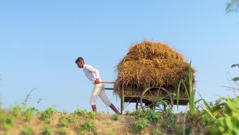 El-Hijo-De-Un-Granjero-Asiático-Trabajador-Vestido-De-Blanco-Tira-De-Un-Carro-De-Madera-Lleno-De-Heno,-Capturando-La-Realidad-Del-Trabajo-Infantil-En-La-Agricultura