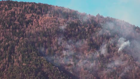 In-Der-Nacht-Zuvor-War-Ein-Waldbrand-Ausgebrochen