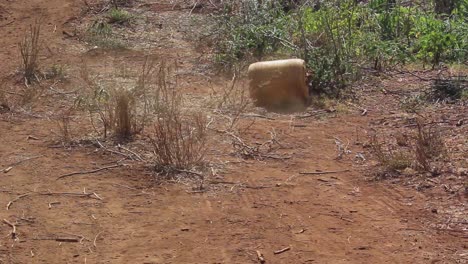 Agua-Desierto-Sin-Esperanza-Inmundicia-Escasez-De-Agua