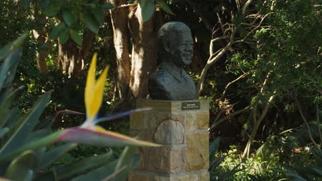 Foco-De-Atracción-Del-Jardín-Botánico:-La-Flor-Del-Ave-Del-Paraíso-Hasta-El-Busto-De-Mandela