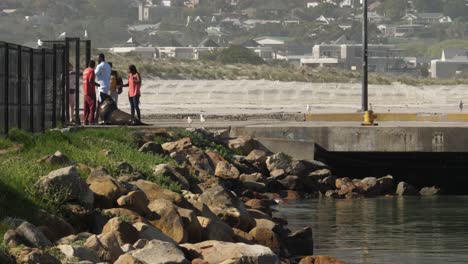 Gran-Lobo-Marino-Del-Cabo-Hambriento-Llama-La-Atención-De-Los-Turistas-En-El-Muelle-De-Ciudad-Del-Cabo