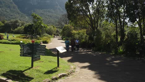 Touristen-Schlendern-über-Den-Schattigen-Wanderweg-Im-Botanischen-Garten-Kirstenbosch