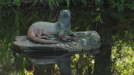 Bronzeskulptur-Eines-Flussotters-Mit-Winkerkrabbe-Im-Gartenteich