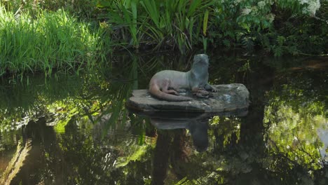 Flussotterskulptur-Auf-Felsen-Im-Teich-Des-Botanischen-Gartens-Kirstenbosch