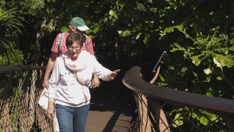 Ältere-Touristen-Erkunden-Den-Baumkronenpfad-Von-Kirstenbosch-In-Kapstadt