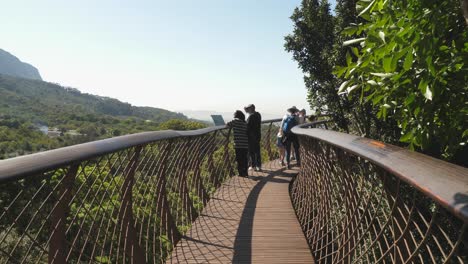 Los-Turistas-En-La-Pasarela-Del-Dosel-De-Los-árboles-Disfrutan-De-La-Vista-Hacia-La-Montaña-De-La-Mesa