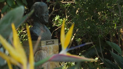 Cape-Town-Pull-Focus-Shot:-Flor-De-Ave-Del-Paraíso-Al-Busto-De-Mandela